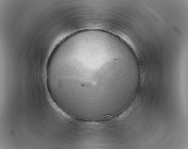 X0000110321088200906042038