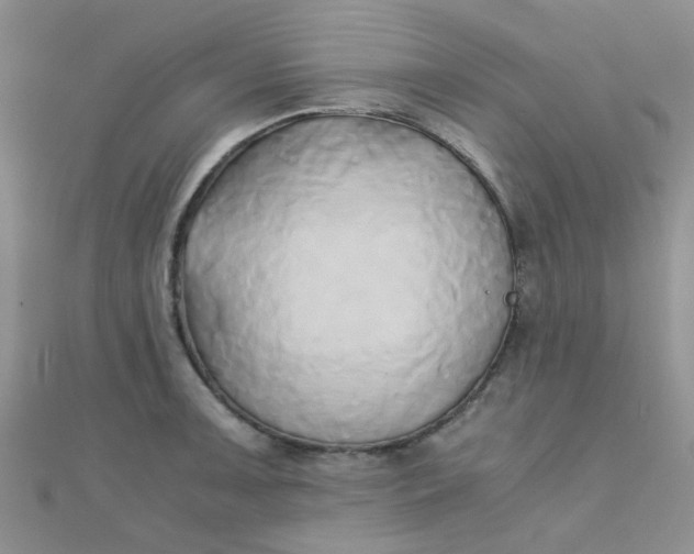 X0000110321091200906042038