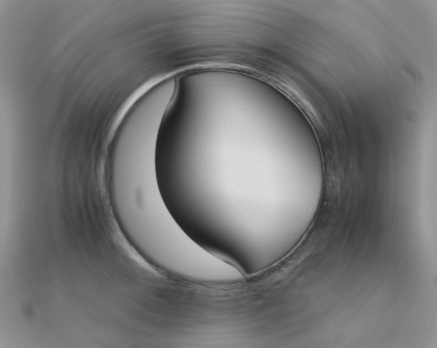 X0000110321092200906042038