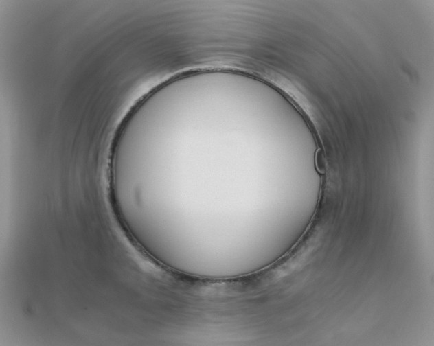 X0000110321093200906042038