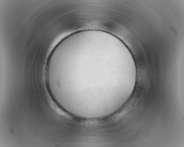 X0000110321094200906042038