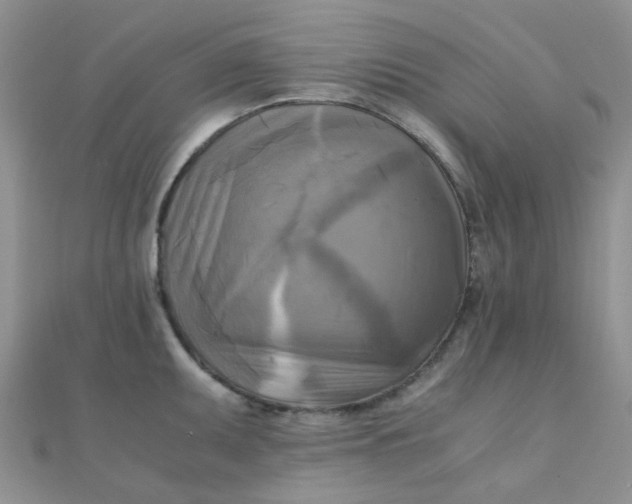 X0000110321095200906042038