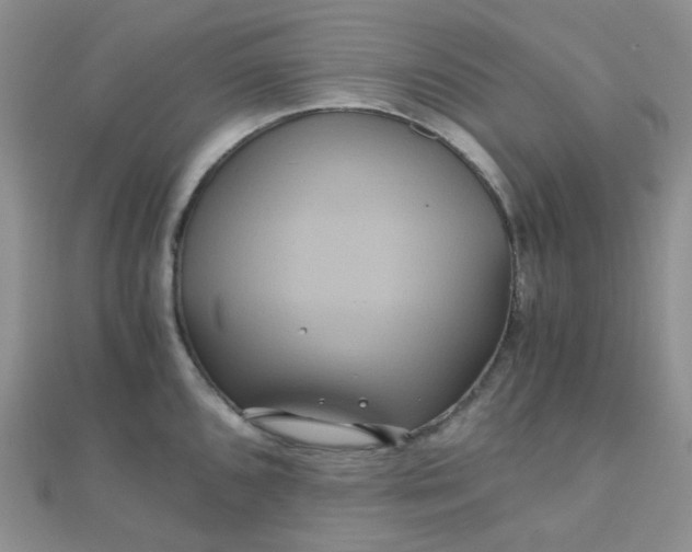 X0000110321096200906042038