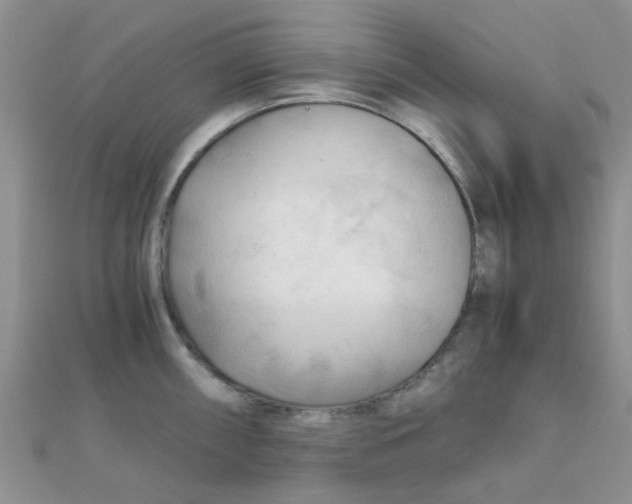 X0000110321098200906042038