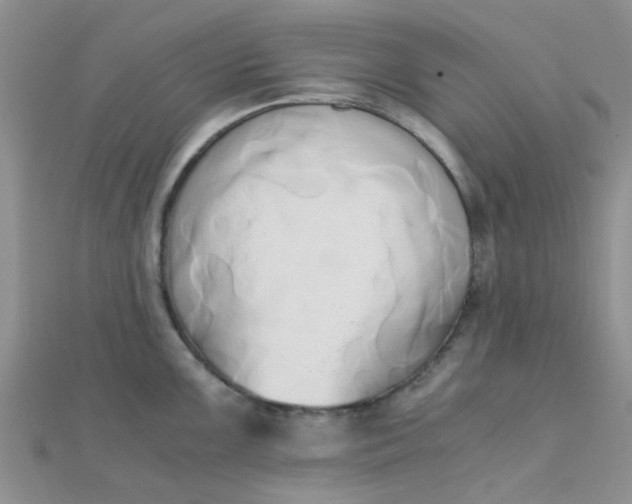 X0000110321099200906042038