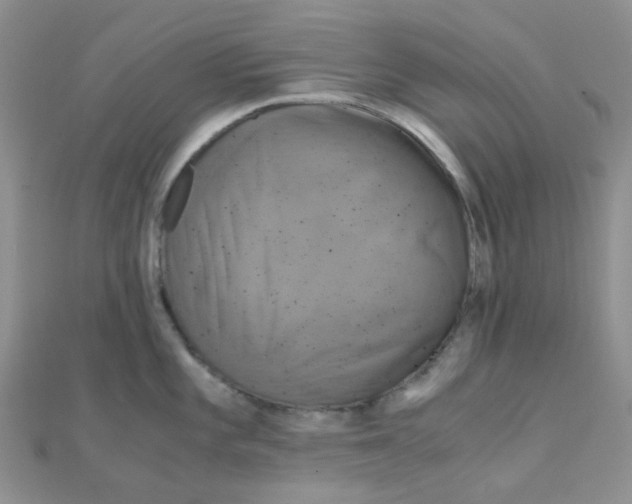 X0000110321101200906042038