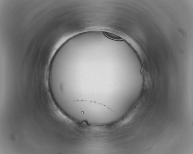 X0000110321102200906042038