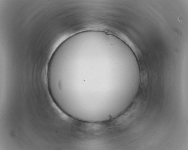 X0000110321103200906042038