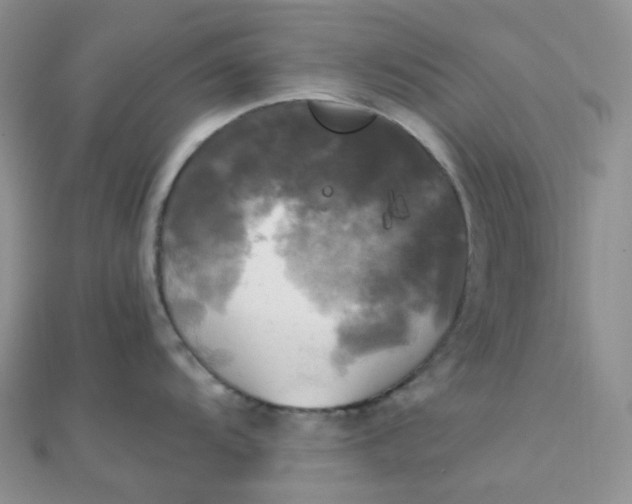 X0000110321104200906042038