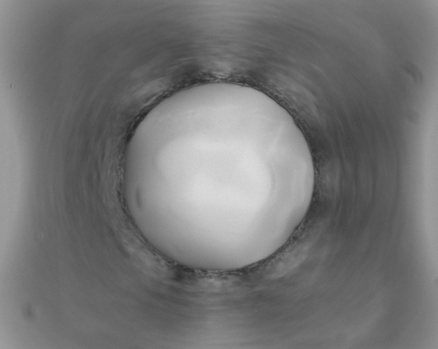 X0000110321105200906042038