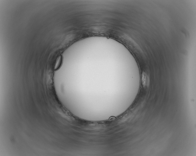 X0000110321107200906042038