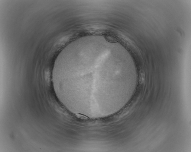 X0000110321108200906042038