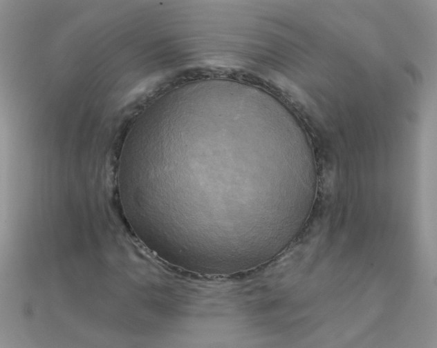 X0000110321110200906042038