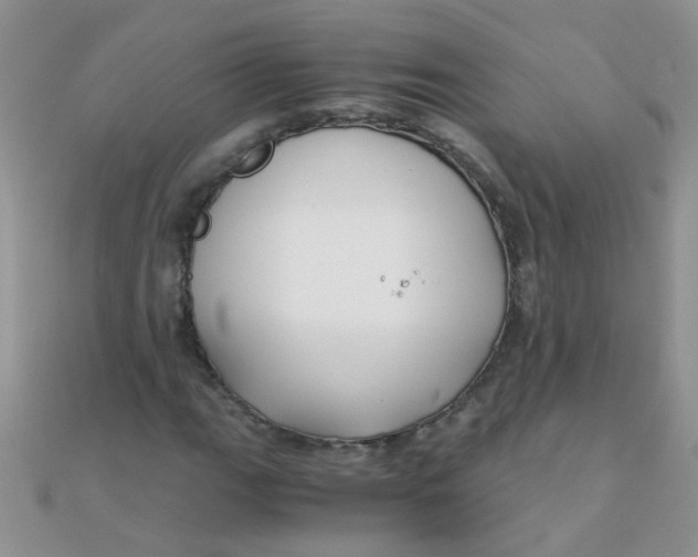 X0000110321111200906042038