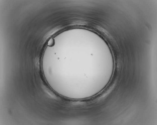 X0000110321113200906042038