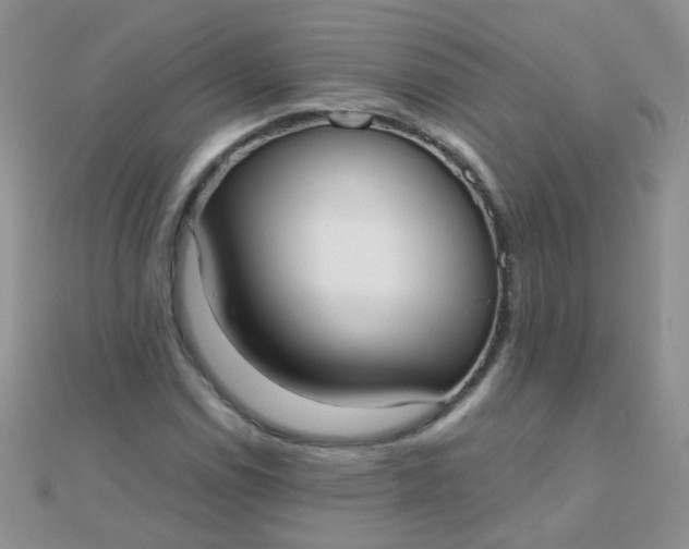 X0000110321114200906042038