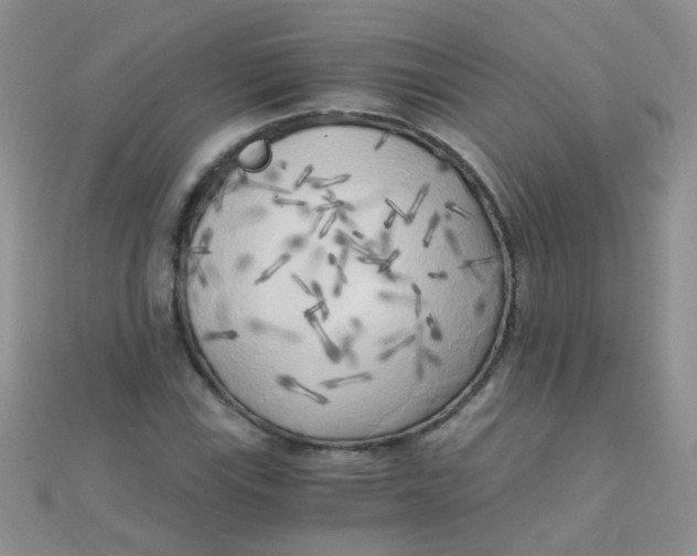 X0000110321115200906042038