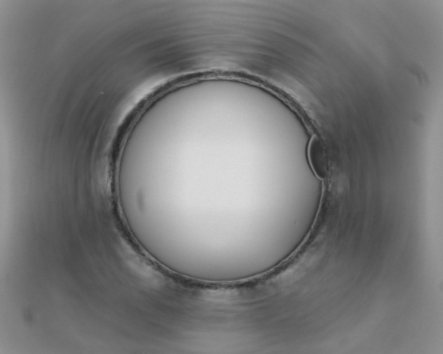 X0000110321118200906042038