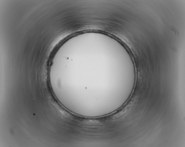 X0000110321119200906042038