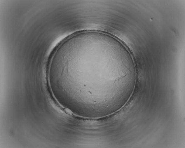 X0000110321120200906042038