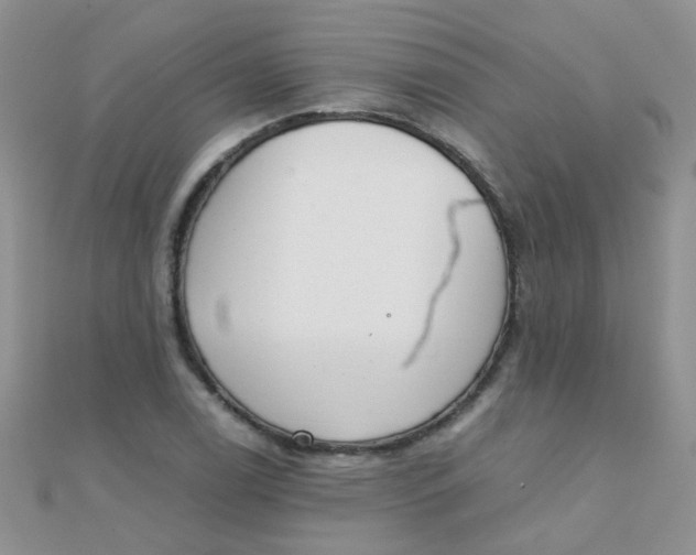 X0000110321122200906042038