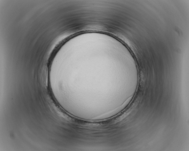 X0000110321123200906042038