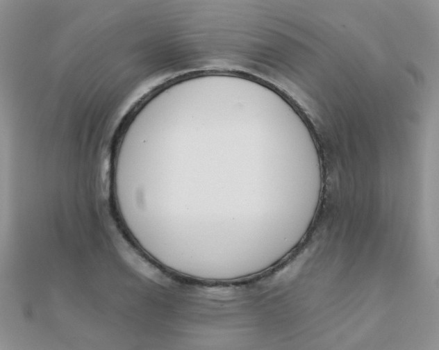 X0000110321126200906042038