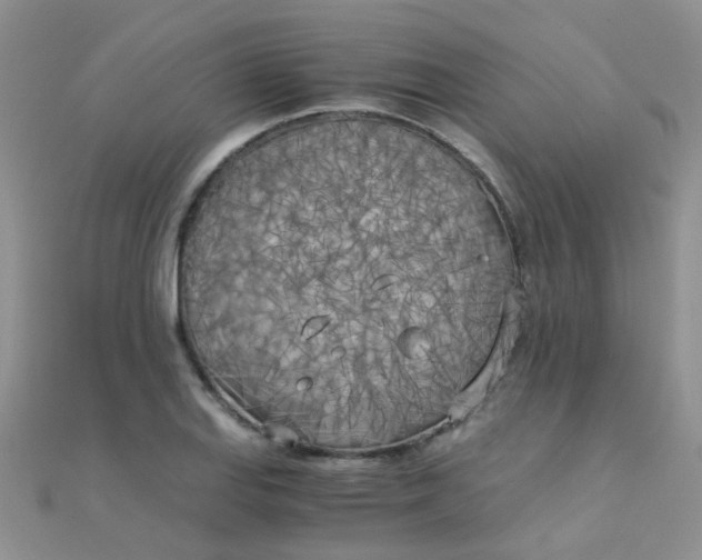 X0000110321127200906042038