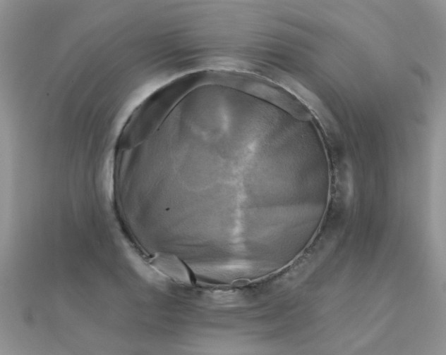 X0000110321128200906042038