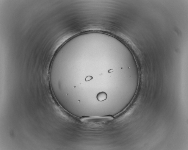 X0000110321129200906042038