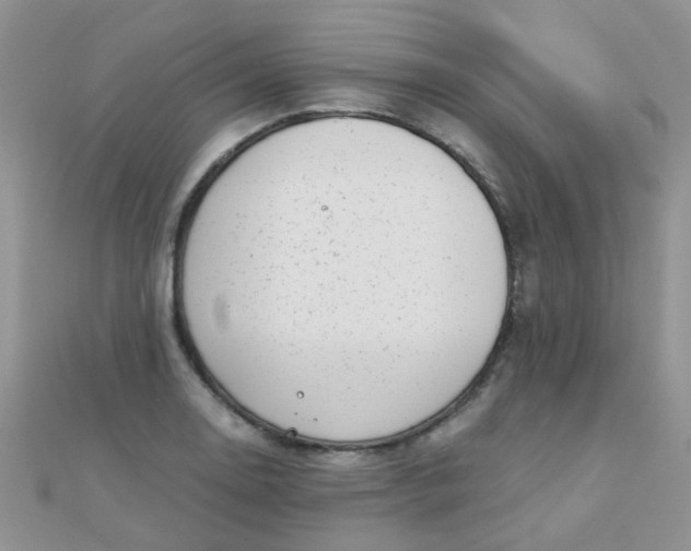 X0000110321130200906042038