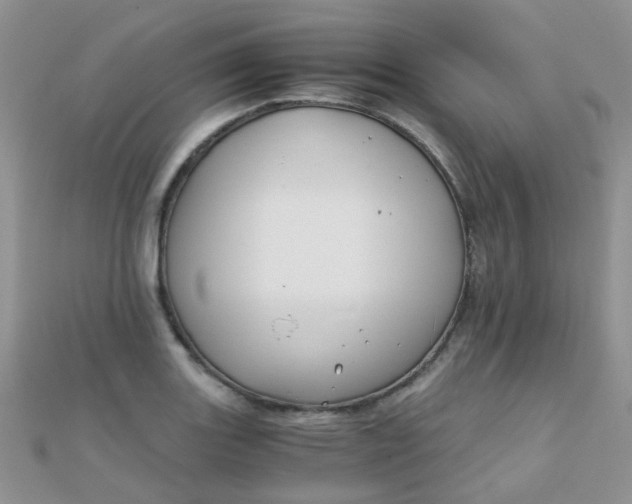 X0000110321131200906042038