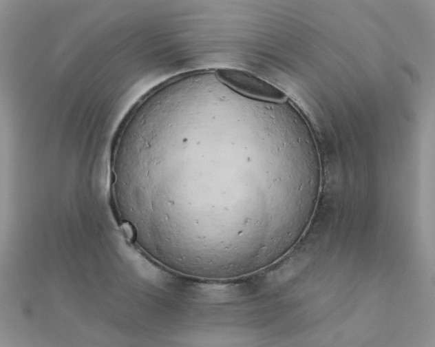 X0000110321132200906042038