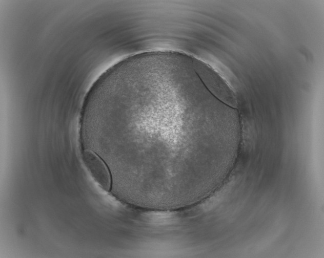 X0000110321134200906042038