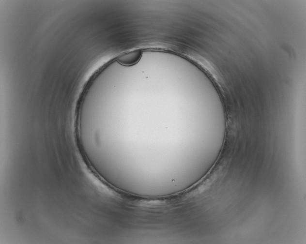 X0000110321135200906042038