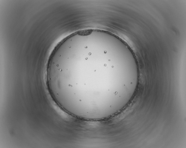 X0000110321136200906042038