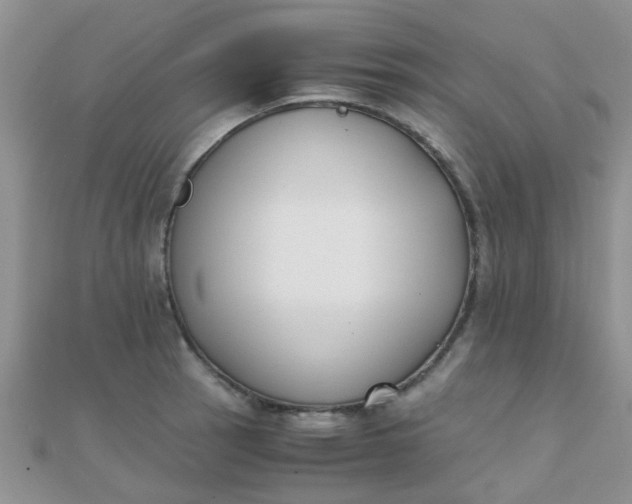 X0000110321137200906042038