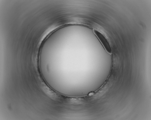 X0000110321138200906042038