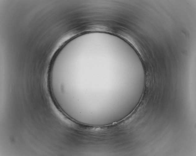 X0000110321139200906042038