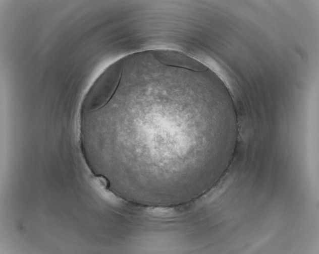 X0000110321140200906042038