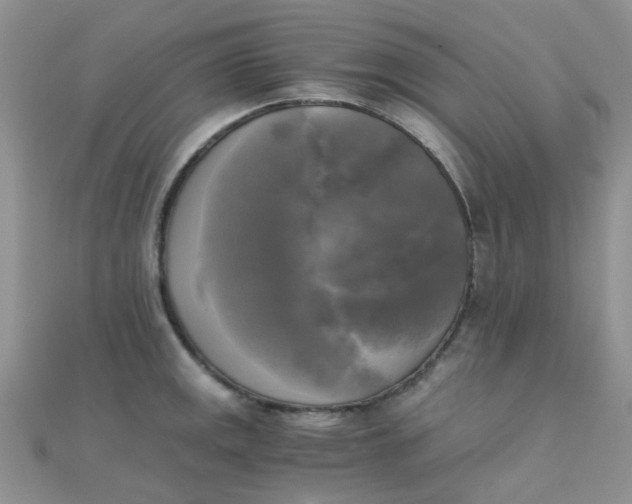 X0000110321141200906042038