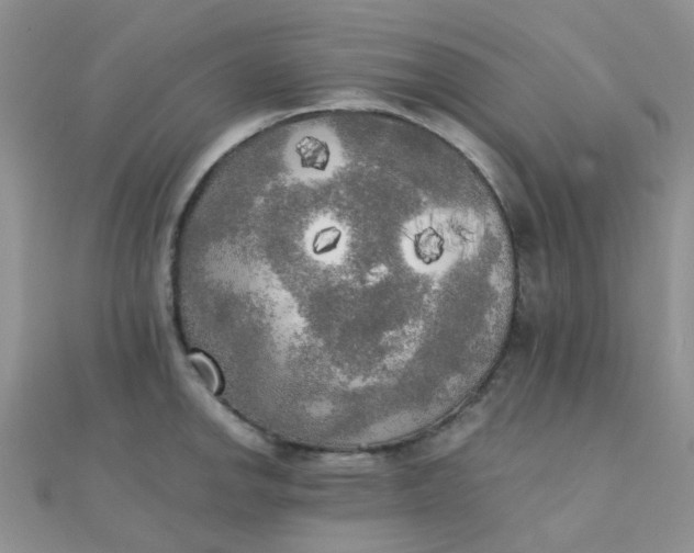 X0000110321142200906042038