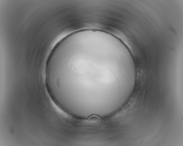 X0000110321143200906042038