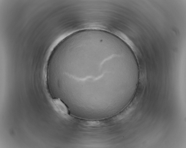 X0000110321144200906042038