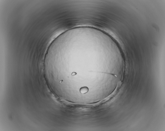 X0000110321145200906042038