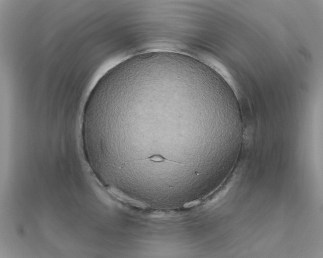 X0000110321146200906042038