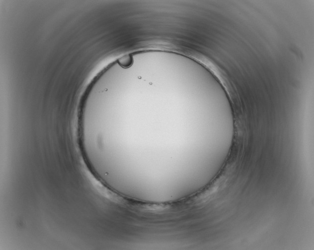 X0000110321147200906042038