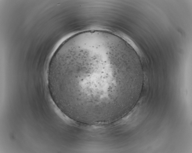 X0000110321148200906042038