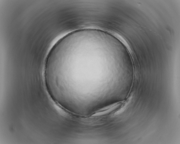 X0000110321149200906042038