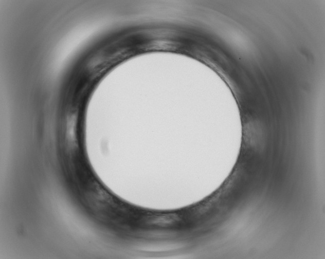 X0000110321150200906042038